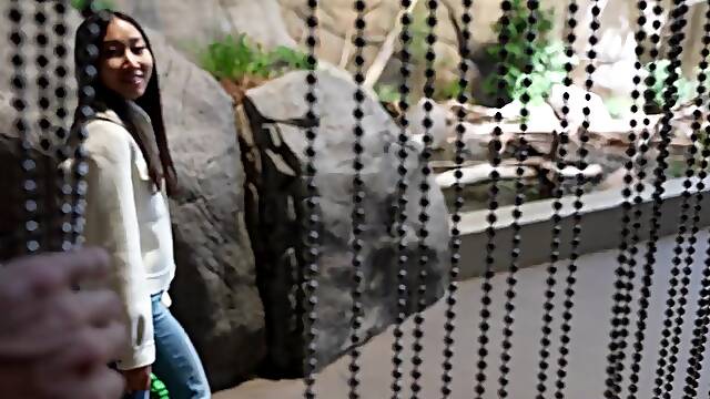 WEEKLY VLOG IN MONTREAL - LUNA’S JOURNEY (EPISODE 37)